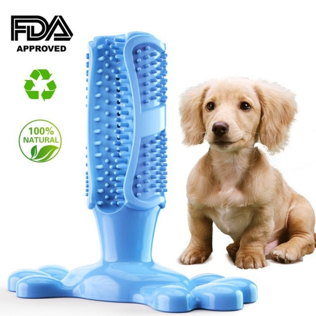 Toothbrush stick outlet for dogs