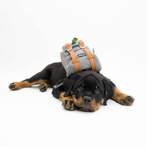 Dog Backpack with Harness and Leash Attachable - Petgo Wholesale