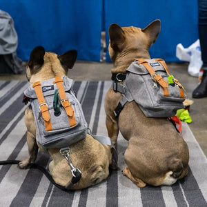 Dog Backpack with Harness and Leash Attachable - Petgo Wholesale