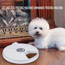 Load image into Gallery viewer, Automatic Pet Feeder Timing Feeder 6 Meals 6 Grids Cat Dog Electric Dry Food Dispenser Dish Feed 24 Hours Timer Pet Supplies New