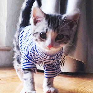 Warm Cat Clothes Autumn Winter Pet Clothing For Small Cats Dogs Cotton Cat Costumes Soft Kitten Kitty Coat Jacket Puppy Outfit - Petgo Wholesale
