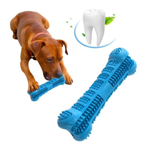 Blue Bone-shaped Dog Toothbrush Chew Brushing Toy Teeth Cleaning Oral Hygiene Pet Supplies - Petgo Wholesale