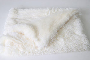 Plush Pet Double Pet Blanket Gold Hair Large Medium Dog Mat Cat Blanket Warm Comfortable  Bed Blankets  Dog Beds for Large Dogs - Petgo Wholesale