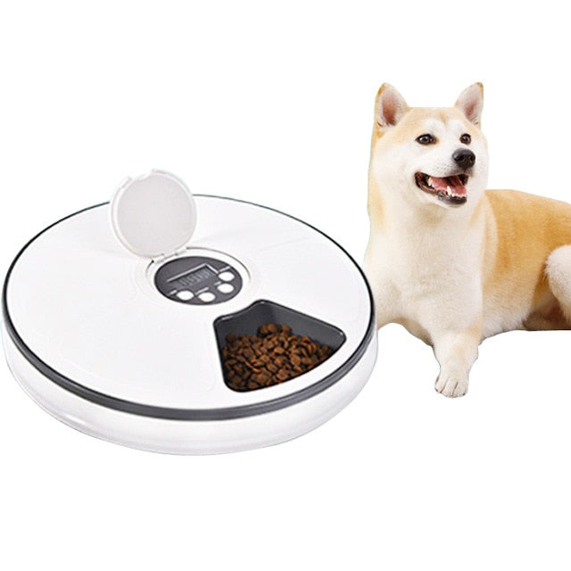 Pet Feeder Fashion Smart Automatic pet bowl for Dogs Cat Pet Food Feeder