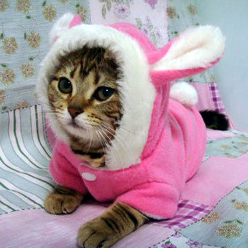 Pet Cat Clothes Mascotas Costume Clothes For Pet Hoodies Cute Rabbit Cat Clothing Puppy Fleece Warm Pet Cat Jacket Outfit 35 A1 - Petgo Wholesale