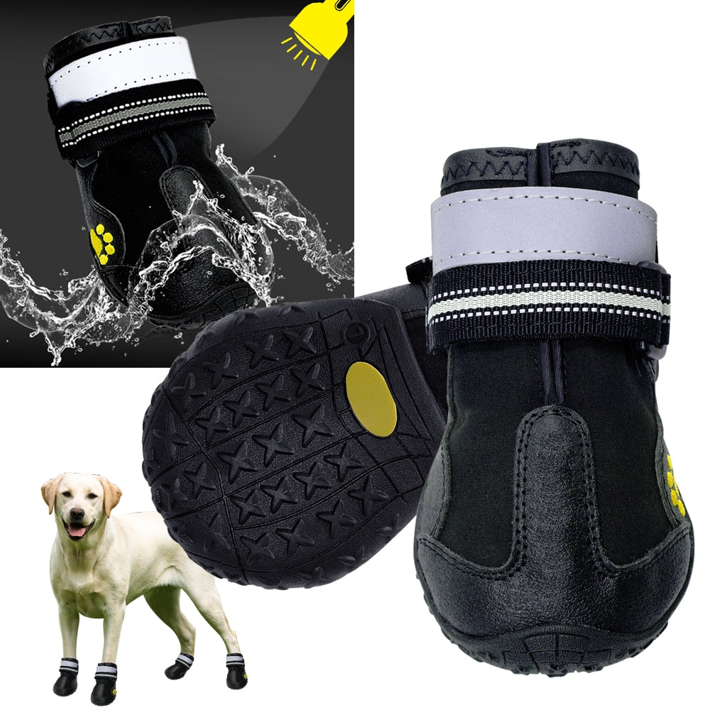 Dog Boots & Socks