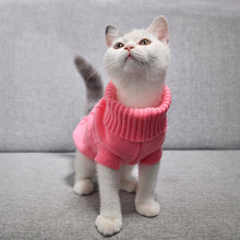 Load image into Gallery viewer, Pet Dog Cat Clothing Winter Autumn Warm Cat Knitted Sweater Jumper Puppy Pug Coat Clothes Pullover Knitted Shirt Kitten Clothes - Petgo Wholesale