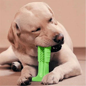 Dog Toothbrush pet toy pet dog chewing toy plush dog small toothbrush dental care supplies cleaning supplies oral Dog Brush - Petgo Wholesale