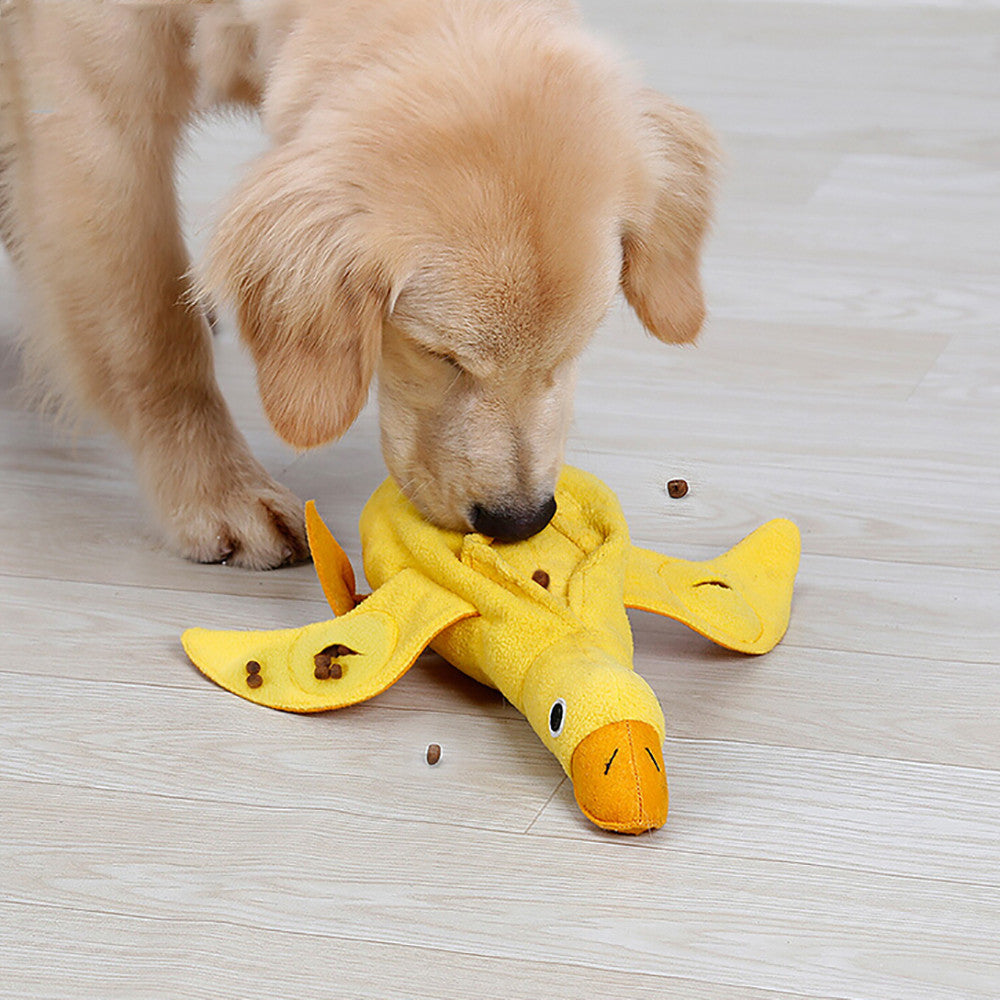 Buy Wholesale China Wholesale Interactive Dog Toys For Iq Training