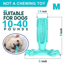 Load image into Gallery viewer, Pet Dog Toothbrush Chew Toy Doggy Brush Stick Soft Rubber Teeth Cleaning Dot Massage Toothpaste for Small dogs Pets Toothbrushes - Petgo Wholesale