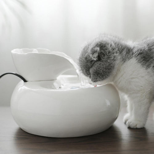 EU/US Smart Ceramics Cat Drinking Feeder Automatic Circulating Water Feeder Pet Water Dispenser 3D Fountain Water Basin 20E - Petgo Wholesale