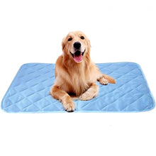 Load image into Gallery viewer, 2019 New Summer Dog Mat Ice Pad 100*70CM Large Size Ice Silk Cool Pet Beds Sofa Cushion Fit All Pet Puppy Cat Summer Cooling Mat - Petgo Wholesale